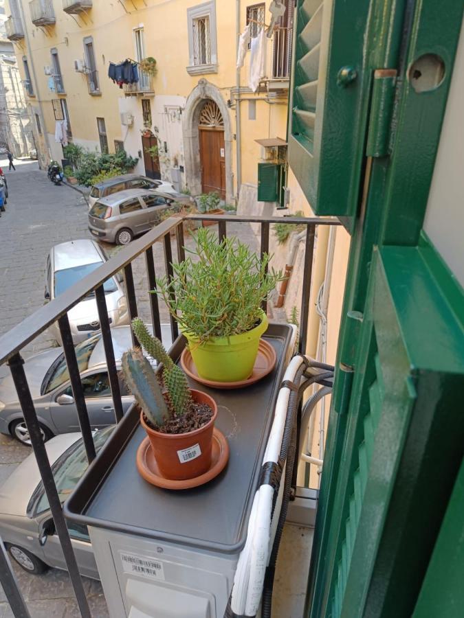 Appartement Domusmadre