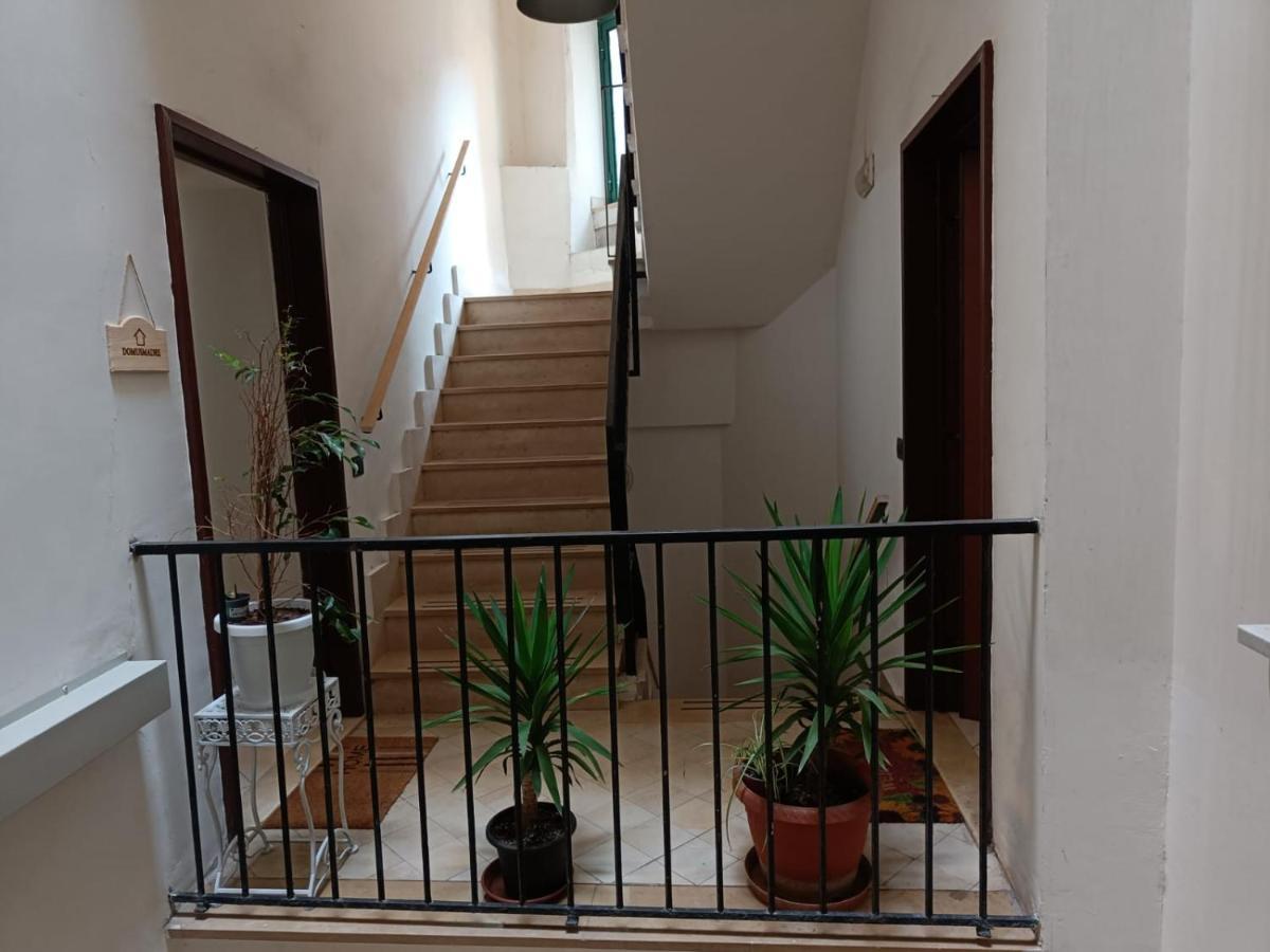 Domusmadre Appartement